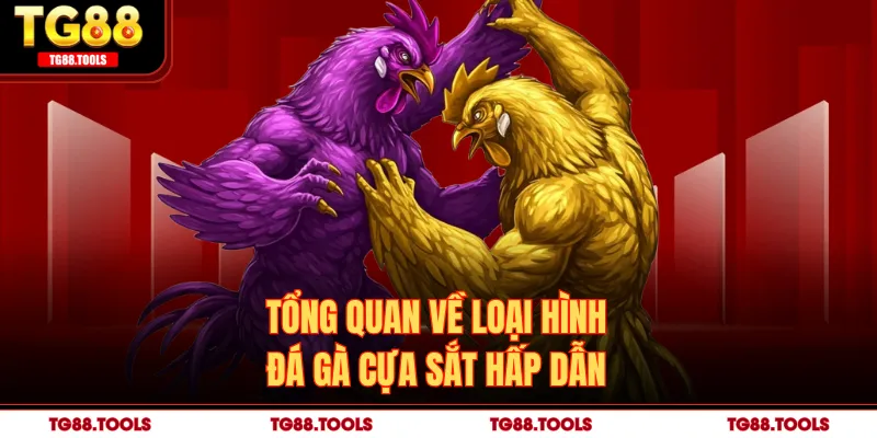 Tổng quan về loại hình đá gà cựa sắt hấp dẫn